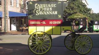 What is American culture in Georgia?