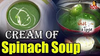 Cream of Spinach Soup Recipe || What A Taste || Vanitha TV