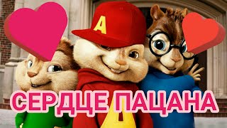 ЯрмаК "Сердце пацана" --- Элвин и бурундуки/Alvin and the Chipmunks --- YarmaK song "Boy's Heart"