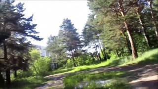 пиздализ в лесу попал в хуйню