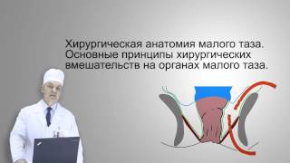 Хирургическая анатомия малого таза (Большаков, И. Н.)