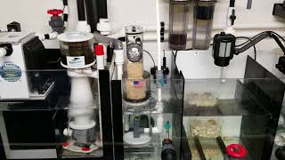 Avast spyglass reactor set up for biopellets