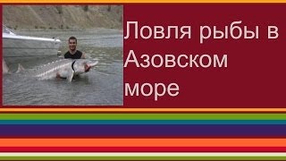 Ловля рыбы в Азовском море