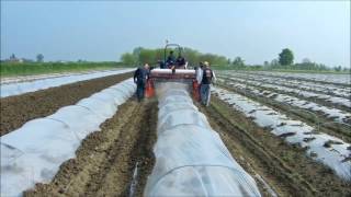 Укладчик пленки на дуги Cosmeco (Adjustable cover tunnel  CPT)