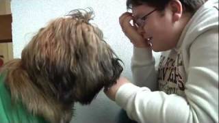 Dieser Hund stellt die Schule auf den Kopf