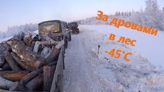 В лес за дровами в -45'С на УАЗ ХАНТЕР и УАЗ ПАТРИОТ 2019. 02.02.2020