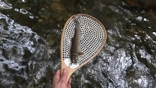 2014年08月01日「ベストシーズン。The best season.」tenkara.com