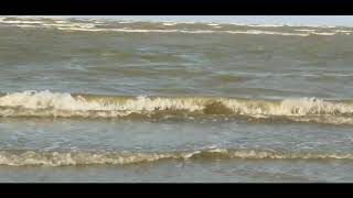 Tuban Bumi Wali - The spirite of harmony