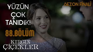 Güney ile yakınlaşmaya çalışan Harika! - Kırgın Çiçekler 88.Bölüm (Sezon Finali)
