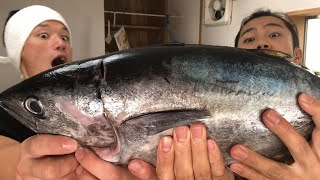 本マグロを丸ごと捌いて漬け丼にしてみた