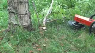 Колесный триммер Echo Bear Cat WT190T