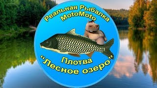 Как поймать Плотву на Лесном озере | Реальная Рыбалка