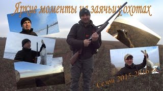 Охота на зайцев - Яркие моменты 2015-2016
