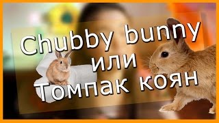 #ОМОЙБЛОГ :О Видео о том, как я давилась :D   Пухлый кролик