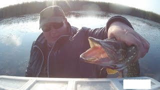"O.S.P" - Bent Minnow 106 F.  Щука на спиннинг. + Классный трек