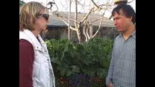 Tour of My Urban Front Yard Winter Vegetable Garden