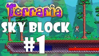 LP terraria: ЭКСПЕРТНЫЙ СКАЙБЛОК В МУЛЬТИПЛЕЕРЕ! ХАРДКОР ЧЕЛЕНДЖ! #1