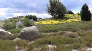 Lausitzer Findlingspark Nochten