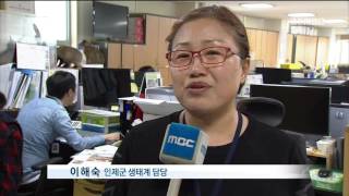 춘천MBC뉴스 (R)인제 람사르 습지 도시 도전장!