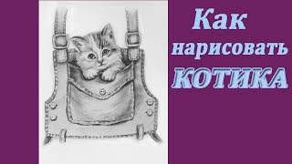 Как нарисовать кота карандашом | Рисуем котенка в кармашке | Art School