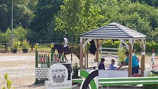 Krezip DH (8yo, Va-Vite x Darco) - Gold League Hasselt 1.40m