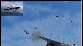 Фильм "Охота на гуся  Беларусь 2019-2" (Охотник по перу),Goose hunting Belarus 2019-2