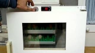 incubadora nacedora automatica casera