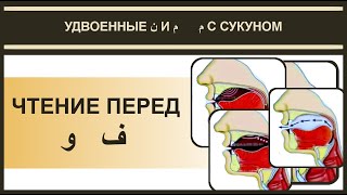 Айман Сувейд. 8. Чтение перед و и ف (с субтитрами на русском)
