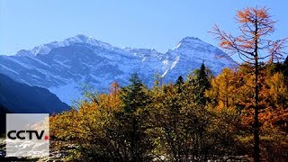 Les monts Minshan, le lieu de retraite paisible sur le plateau(second)