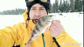 Рыбалка выходного дня на реке Вишера 24.02.2019
