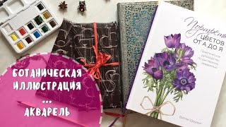 Ботаническая иллюстрация для чайников || Пакую подарки и пробую новое в акварели