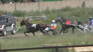 Бега-Заезд орловский 4 лет и ст.Абаканский ипподром 2016 с/х