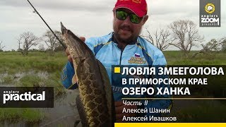 Ловля змееголова в Приморском крае. Озеро Ханка. Алексей Шанин, Алексей Ивашков, 2 часть