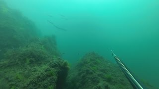 Подводная охота в Черном море как она есть " день 2"