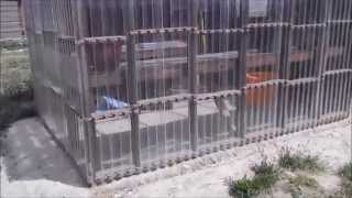 Green House/Gardens & Update