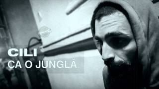 CILI - CA O JUNGLA