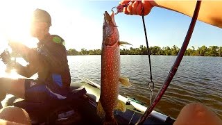 СУПЕР РЫБАЛКА ПО ЩУКЕ! Ловля джигом с лодки. Летняя рыбалка со спиннингом
