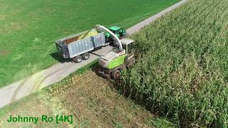 Maishäckseln 2018 Teil 5 LU Krumm mit Claas Jaguar 850 und 8- Reiher, Fendt, JCB, Deutz [4K]