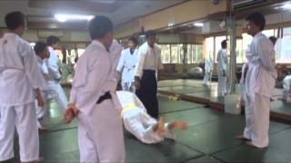 tenshin aikido indonesia