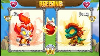 NEW BREEDING: High Fighter Dragon vs High Tension Dragon | DRAGON CITY ?