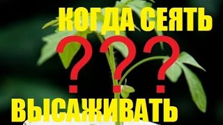 КОГДА СЕЯТЬ СЕМЕНА НА РАССАДУ? КОГДА ВЫСАЖИВАТЬ РАССАДУ? САД (ОГОРОД) И ТЕПЛИЦА
