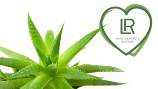 Об Алоэ Вера LR