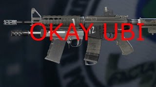 Buck's C8-SFW in a nutshell