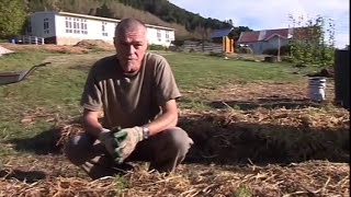 No dig garden construction - workshop