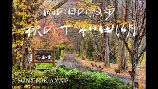 秋の十和田湖 雨の日の散歩 SONY FDR-AX700 4K30P HLG3