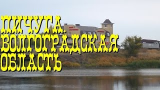 Пичуга. Волгоградская область
