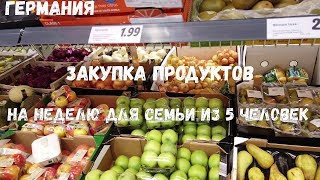 Закупка продуктов на неделю  в Германии на семью из 5 человек #германия #жизньвгермании