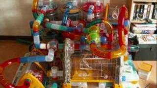 Crazy Hamster Cages, Part 2!