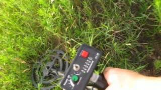 Металлоискатели Fisher F2 и Кощей 5И. Катушка Nel Tornado