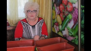 ОТВЕТЫ НА ВОПРОСЫ ЗРИТЕЛЕЙ. Ольга Чернова.